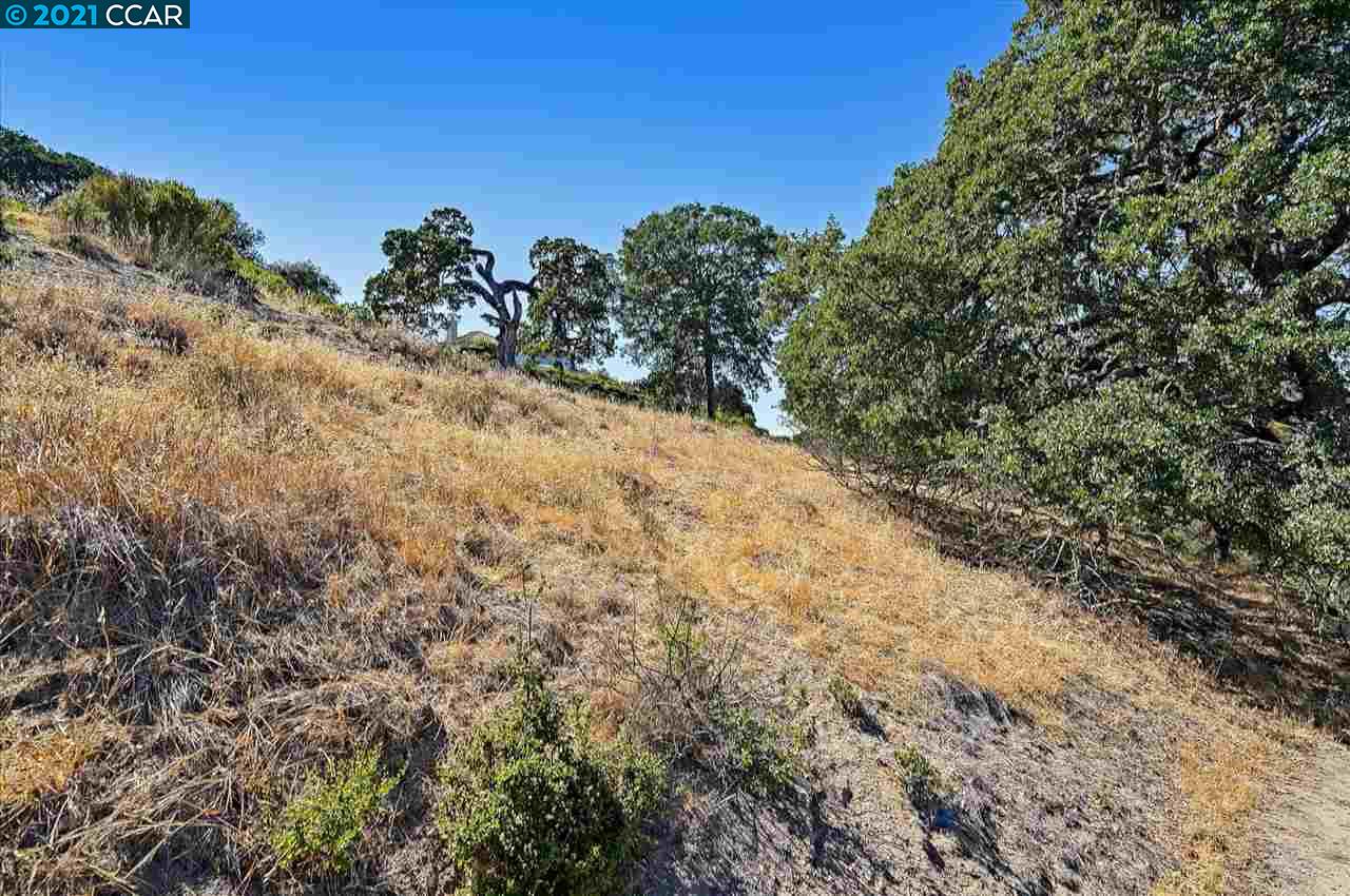 2291 Banyon Ct, GILROY, California 95020, ,Lots And Land,For Sale,Banyon Ct,40965472