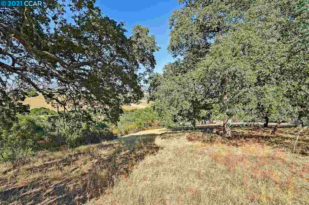 2291 Banyon Ct, GILROY, California 95020, ,Lots And Land,For Sale,Banyon Ct,40965472