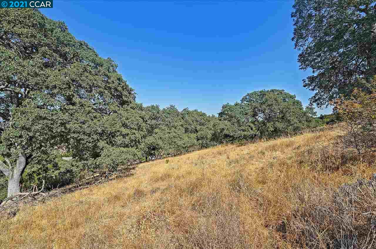 2291 Banyon Ct, GILROY, California 95020, ,Lots And Land,For Sale,Banyon Ct,40965472