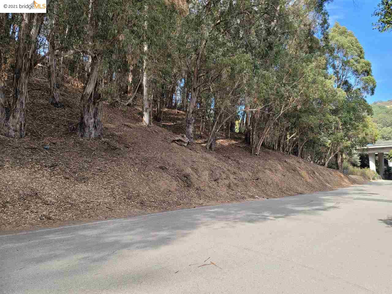 0 Old Dublin Road, CASTRO VALLEY, California 94552, ,Lots And Land,For Sale,Old Dublin Road,40965474