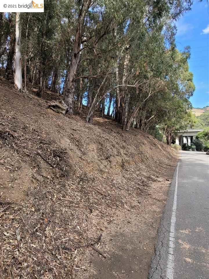 0 Old Dublin Road, CASTRO VALLEY, California 94552, ,Lots And Land,For Sale,Old Dublin Road,40965474