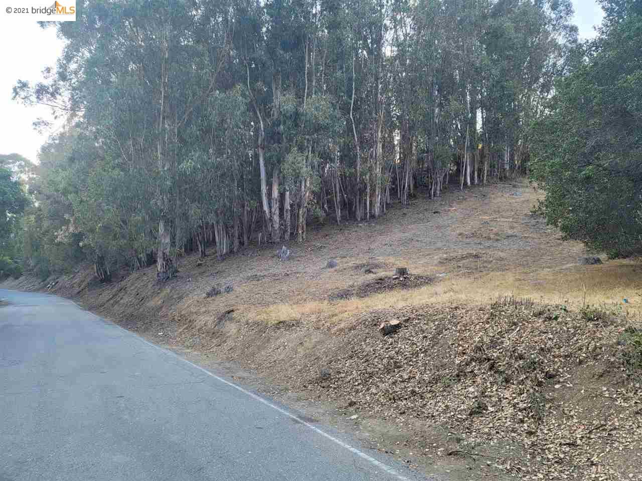 0 Old Dublin Road, CASTRO VALLEY, California 94552, ,Lots And Land,For Sale,Old Dublin Road,40965474
