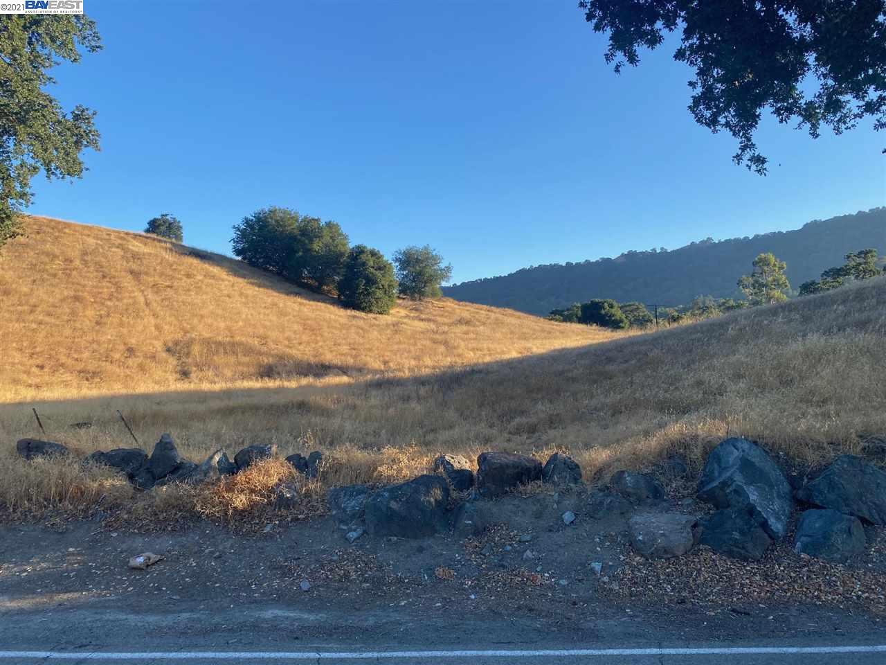 131 Happy Valley Rd, PLEASANTON, California 94566, ,Lots And Land,For Sale,Happy Valley Rd,40965513