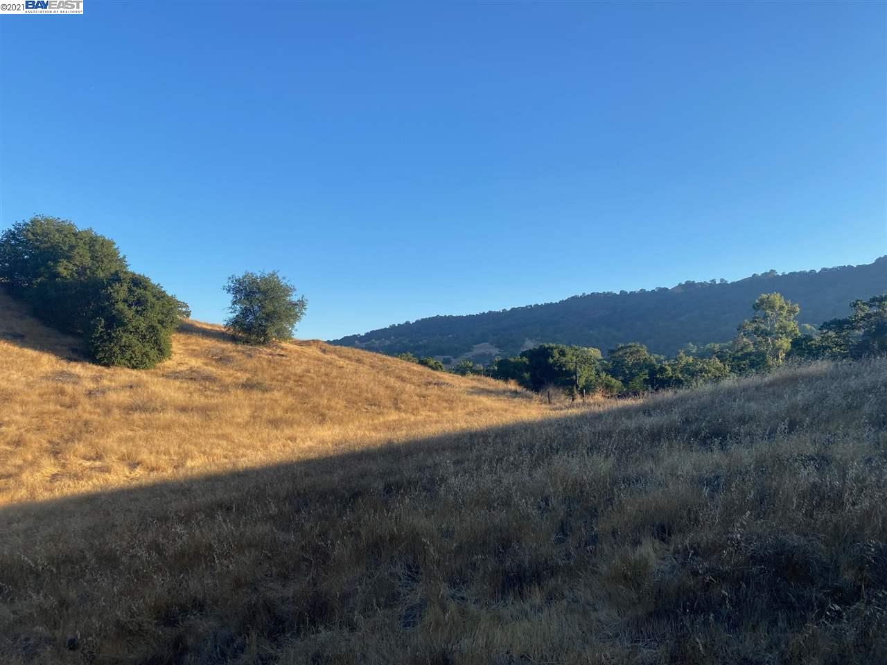 131 Happy Valley Rd, PLEASANTON, California 94566, ,Lots And Land,For Sale,Happy Valley Rd,40965513