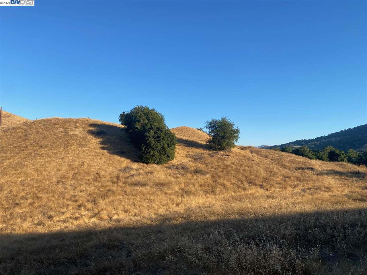 131 Happy Valley Rd, PLEASANTON, California 94566, ,Lots And Land,For Sale,Happy Valley Rd,40965513