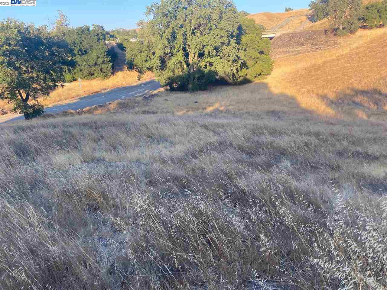 131 Happy Valley Rd, PLEASANTON, California 94566, ,Lots And Land,For Sale,Happy Valley Rd,40965513