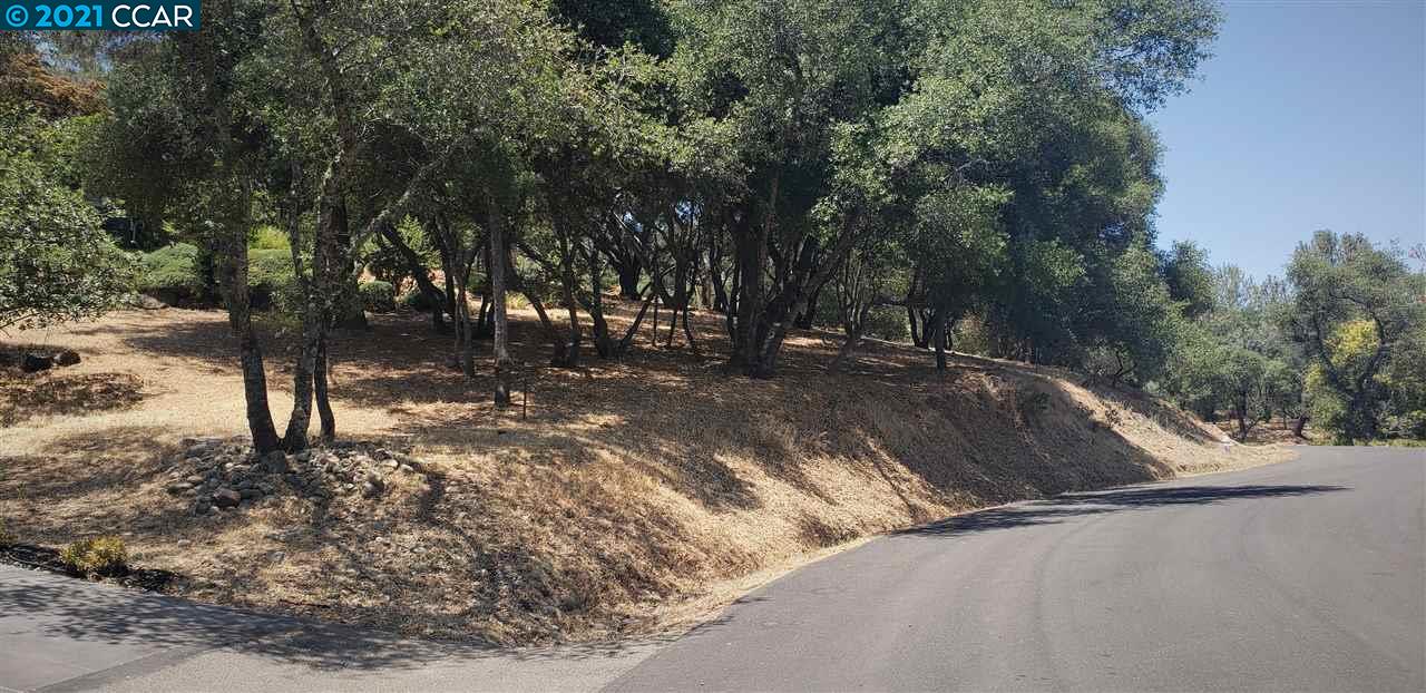 540 Torero Way, EL DORADO HILLS, California 95762, ,Lots And Land,For Sale,Torero Way,40965552