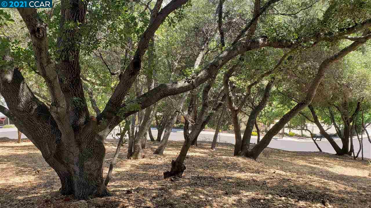540 Torero Way, EL DORADO HILLS, California 95762, ,Lots And Land,For Sale,Torero Way,40965552