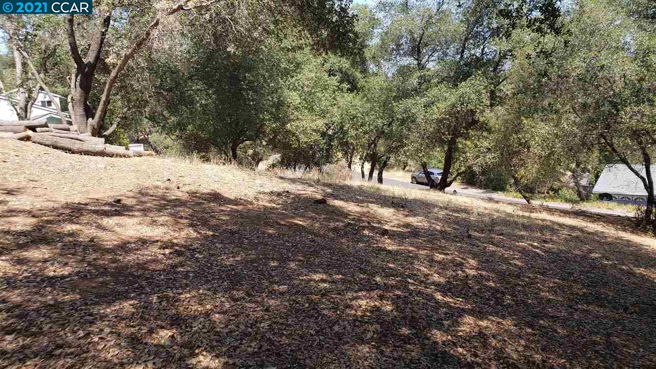 540 Torero Way, EL DORADO HILLS, California 95762, ,Lots And Land,For Sale,Torero Way,40965552