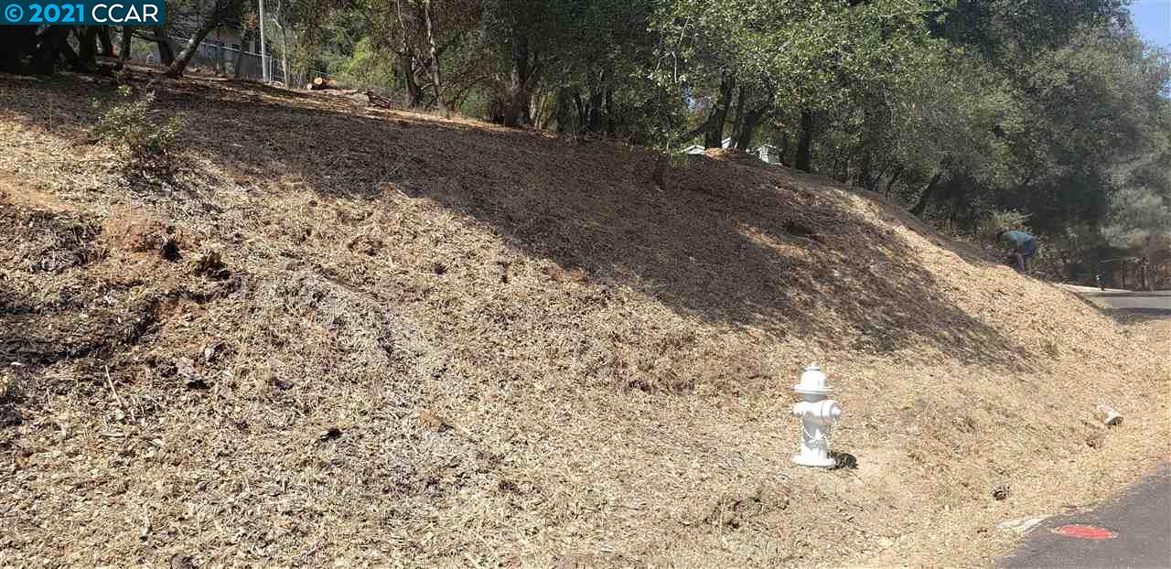 540 Torero Way, EL DORADO HILLS, California 95762, ,Lots And Land,For Sale,Torero Way,40965552