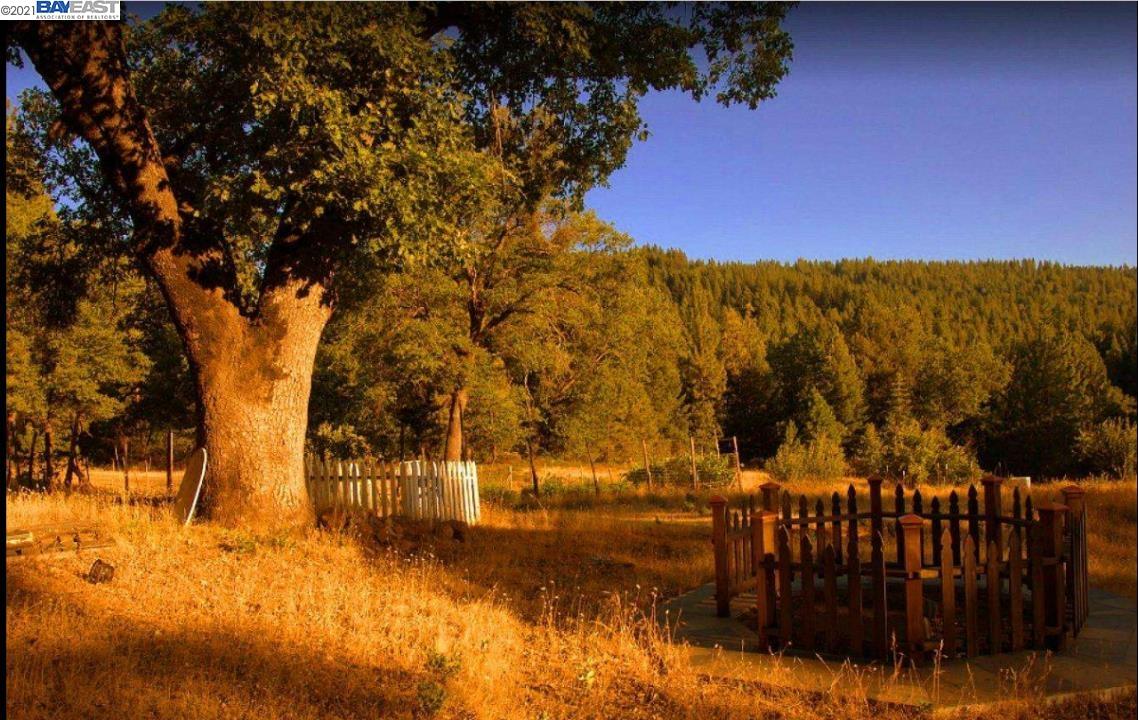 0 Rollingwood Dr, GRIZZLY FLATS, California 95636, ,Lots And Land,For Sale,Rollingwood Dr,40965569