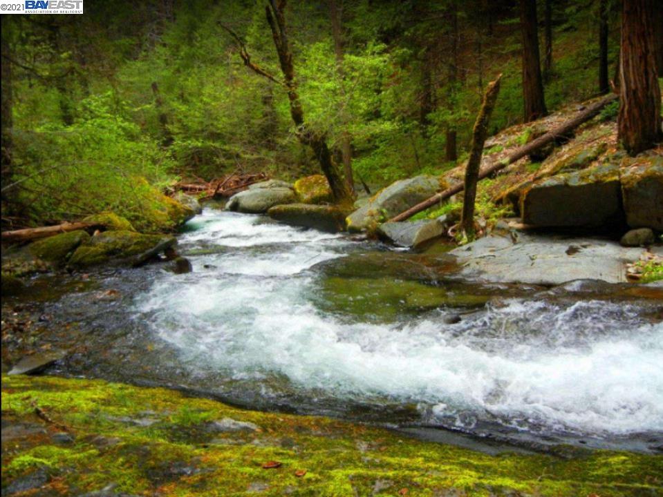 0 Rollingwood Dr, GRIZZLY FLATS, California 95636, ,Lots And Land,For Sale,Rollingwood Dr,40965569
