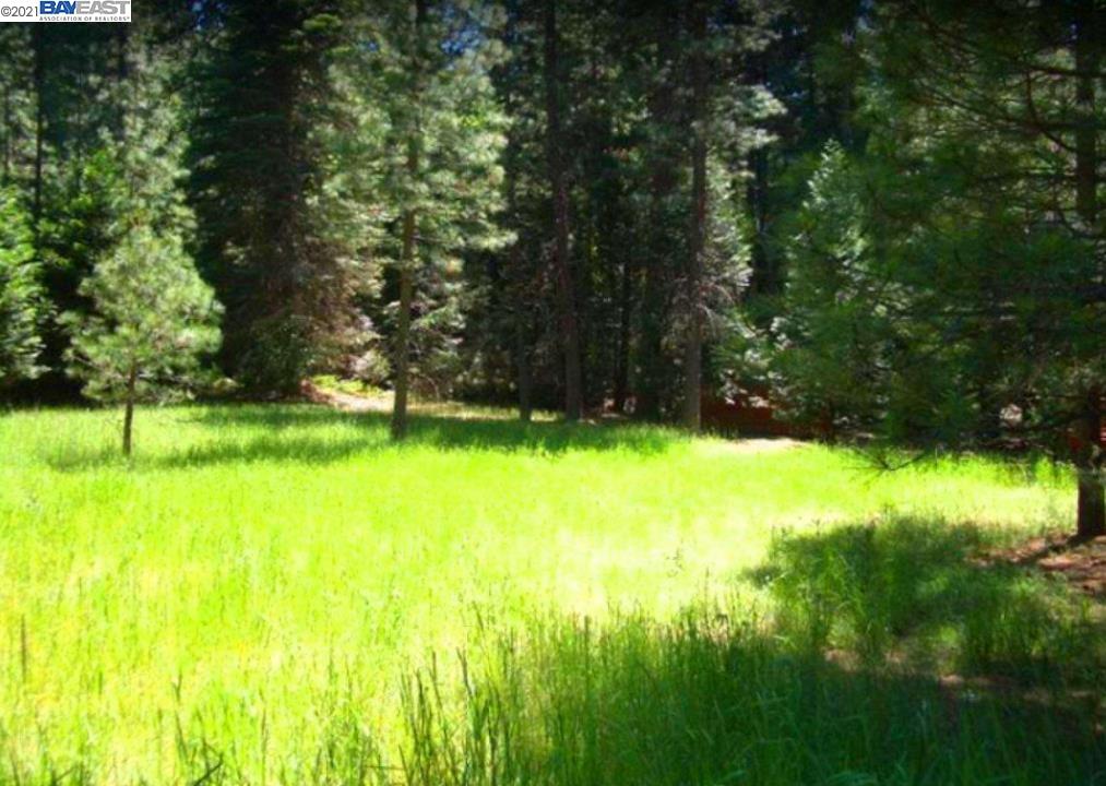 0 Rollingwood Dr, GRIZZLY FLATS, California 95636, ,Lots And Land,For Sale,Rollingwood Dr,40965569