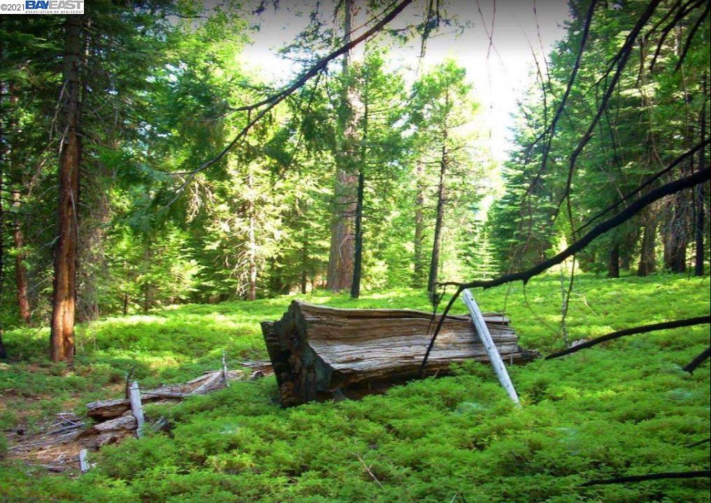 0 Rollingwood Dr, GRIZZLY FLATS, California 95636, ,Lots And Land,For Sale,Rollingwood Dr,40965569