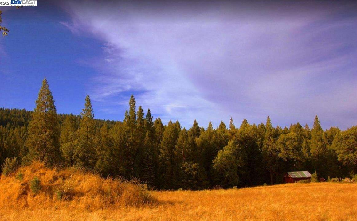 0 Rollingwood Dr, GRIZZLY FLATS, California 95636, ,Lots And Land,For Sale,Rollingwood Dr,40965569