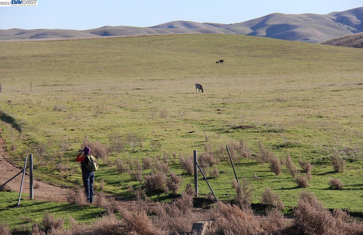 7010 Vallecitos Rd, SUNOL, California 94586, ,Lots And Land,For Sale,Vallecitos Rd,40965573