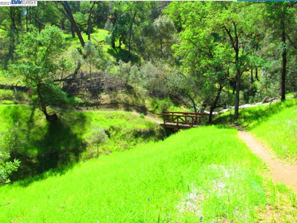 1179 Steele Canyon Rd, NAPA, California 94558, ,Lots And Land,For Sale,Steele Canyon Rd,40965586