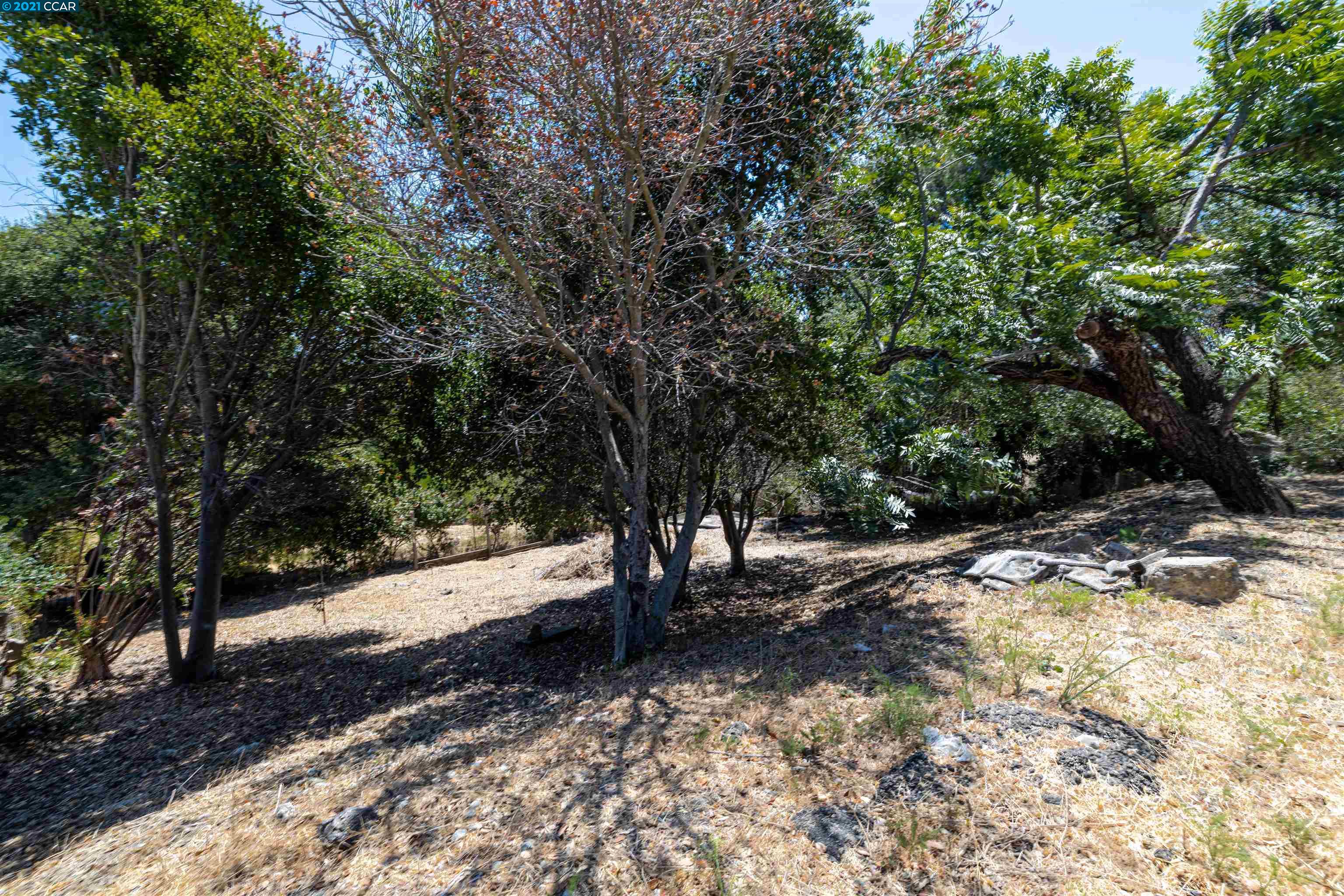 5834 Alpine Rd, SAN PABLO, California 94806, ,Lots And Land,For Sale,Alpine Rd,40965587
