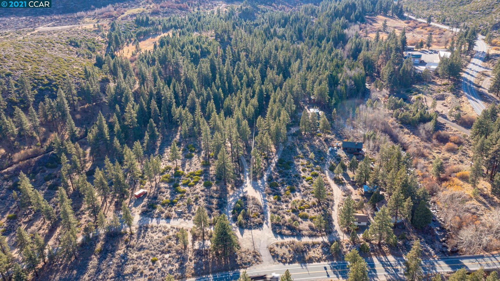 000 West Fork Lane, MARKLEEVILLE, California 96120, ,Lots And Land,For Sale,West Fork Lane,40965589
