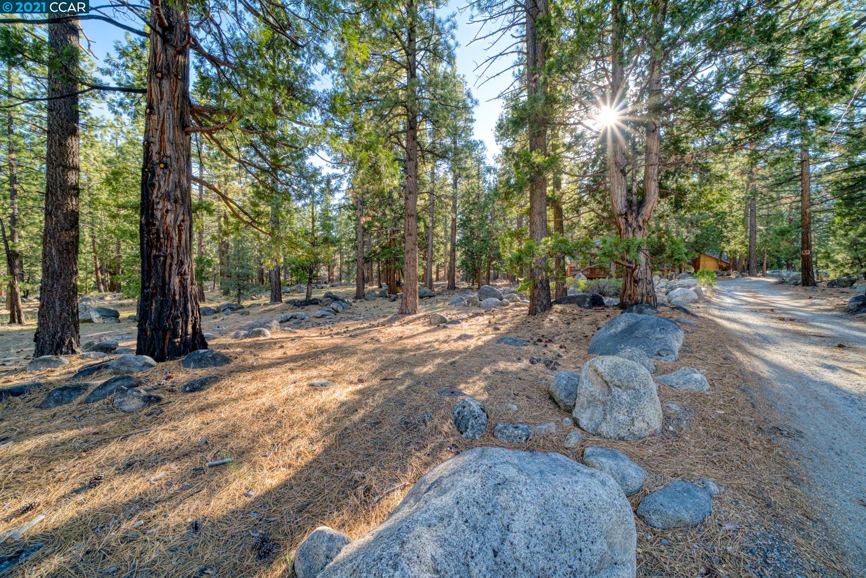 000 West Fork Lane, MARKLEEVILLE, California 96120, ,Lots And Land,For Sale,West Fork Lane,40965589