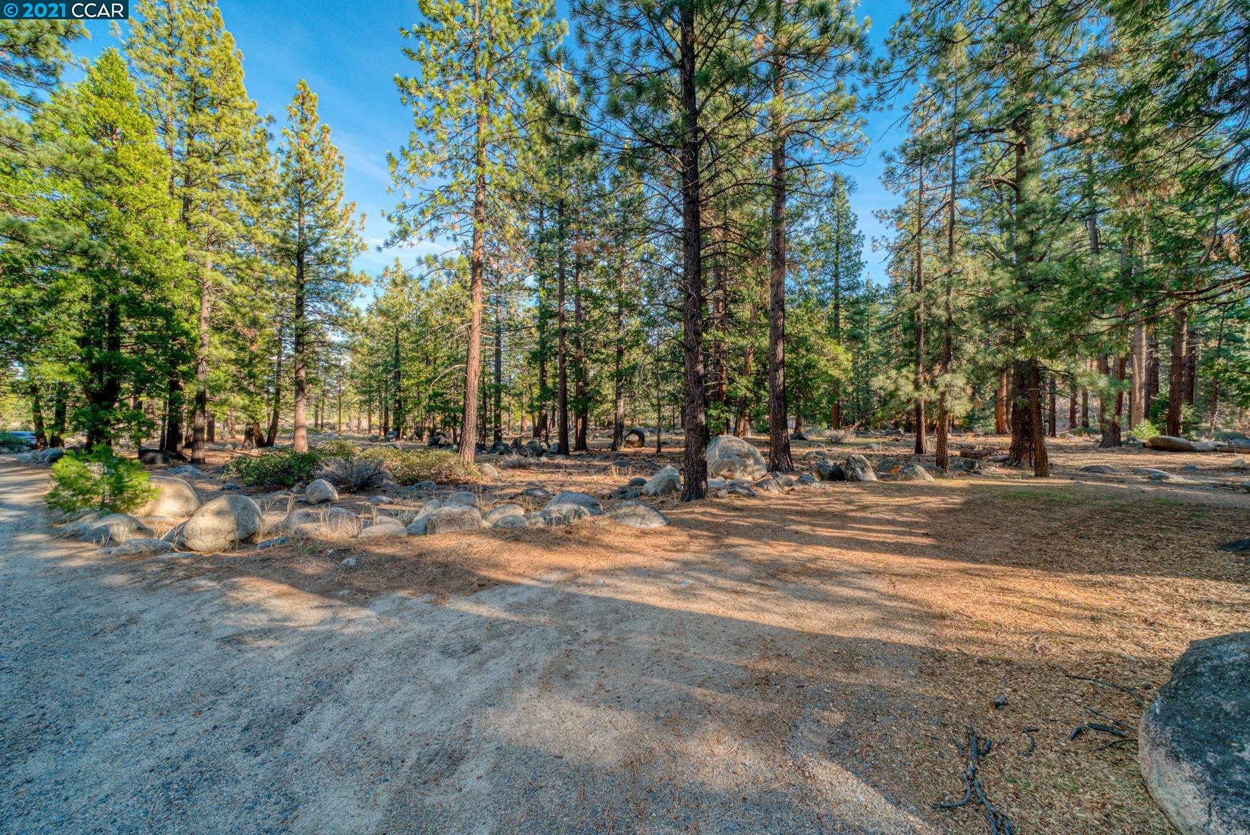 000 West Fork Lane, MARKLEEVILLE, California 96120, ,Lots And Land,For Sale,West Fork Lane,40965589