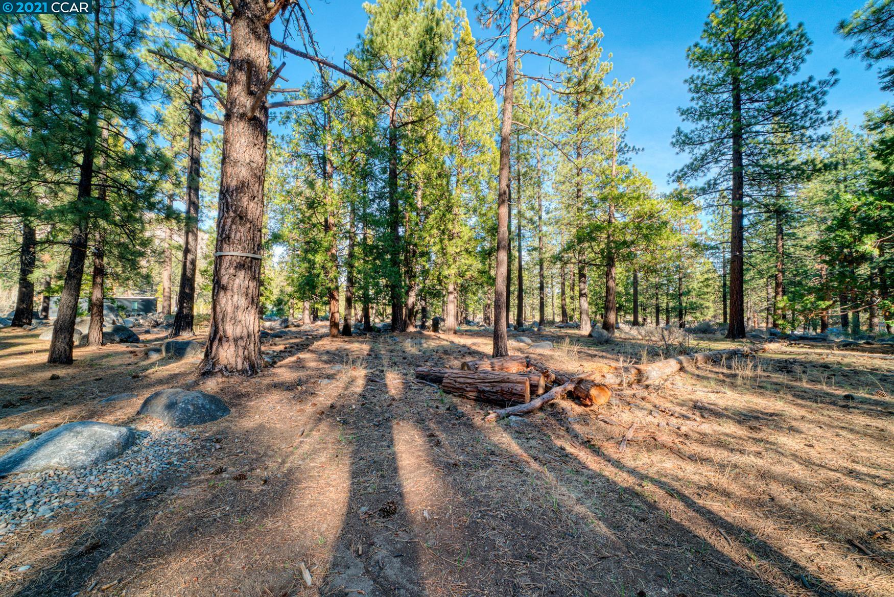 000 West Fork Lane, MARKLEEVILLE, California 96120, ,Lots And Land,For Sale,West Fork Lane,40965589