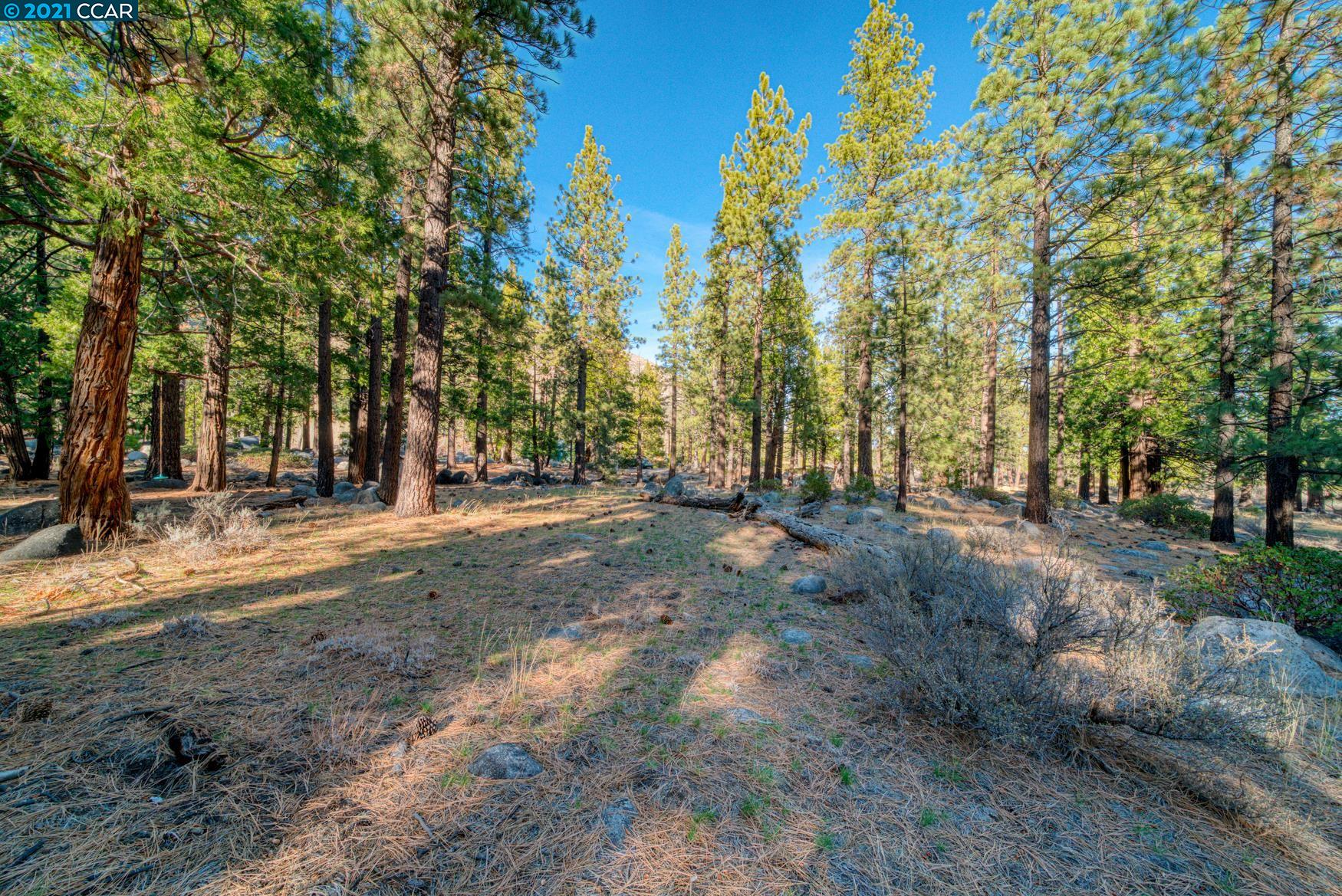 000 West Fork Lane, MARKLEEVILLE, California 96120, ,Lots And Land,For Sale,West Fork Lane,40965589