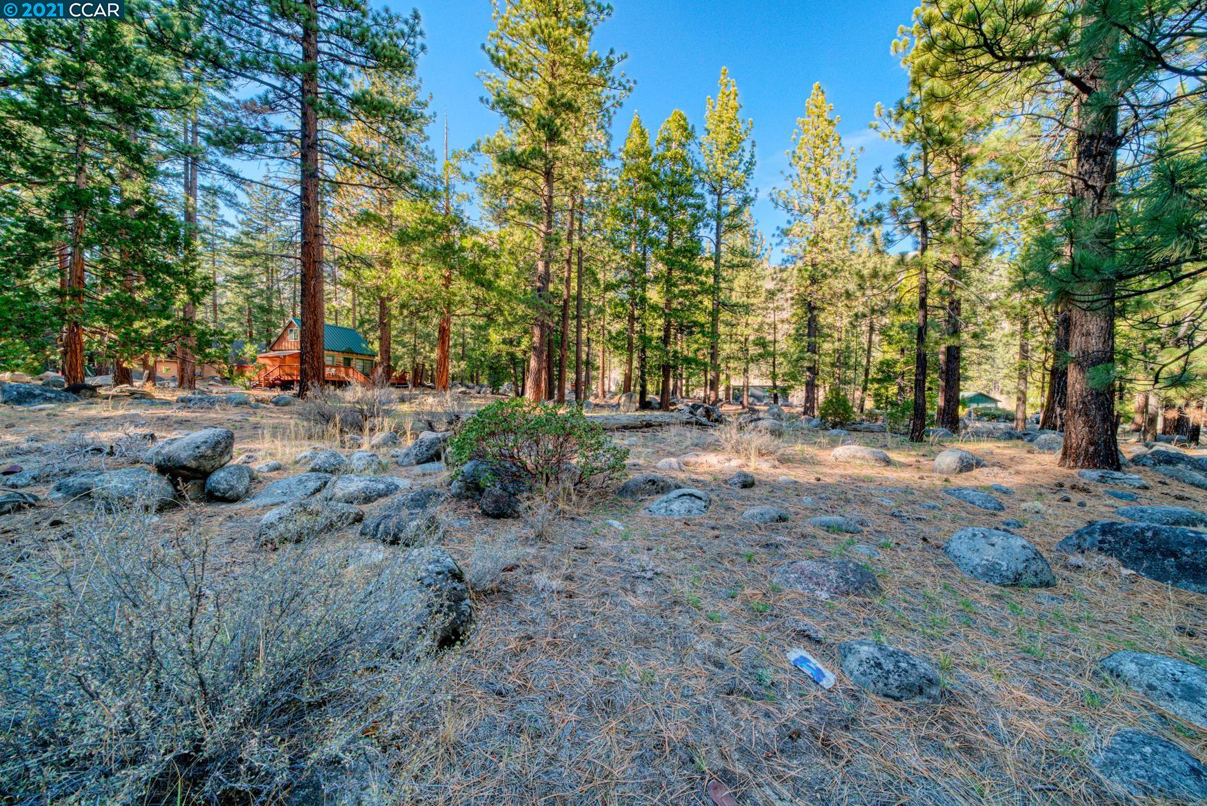 000 West Fork Lane, MARKLEEVILLE, California 96120, ,Lots And Land,For Sale,West Fork Lane,40965589