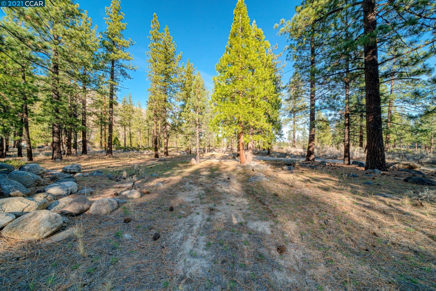 000 West Fork Lane, MARKLEEVILLE, California 96120, ,Lots And Land,For Sale,West Fork Lane,40965589