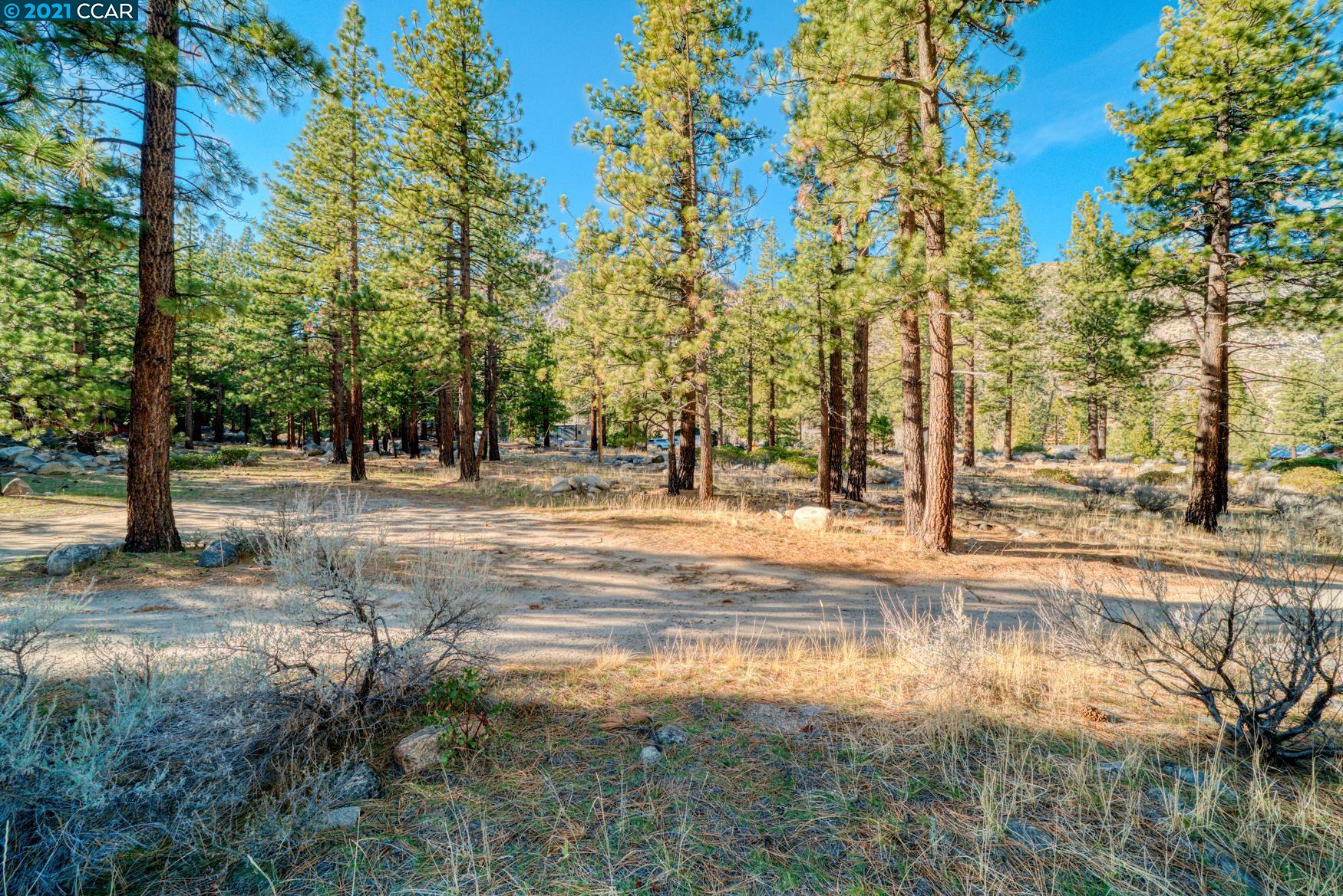 000 West Fork Lane, MARKLEEVILLE, California 96120, ,Lots And Land,For Sale,West Fork Lane,40965589