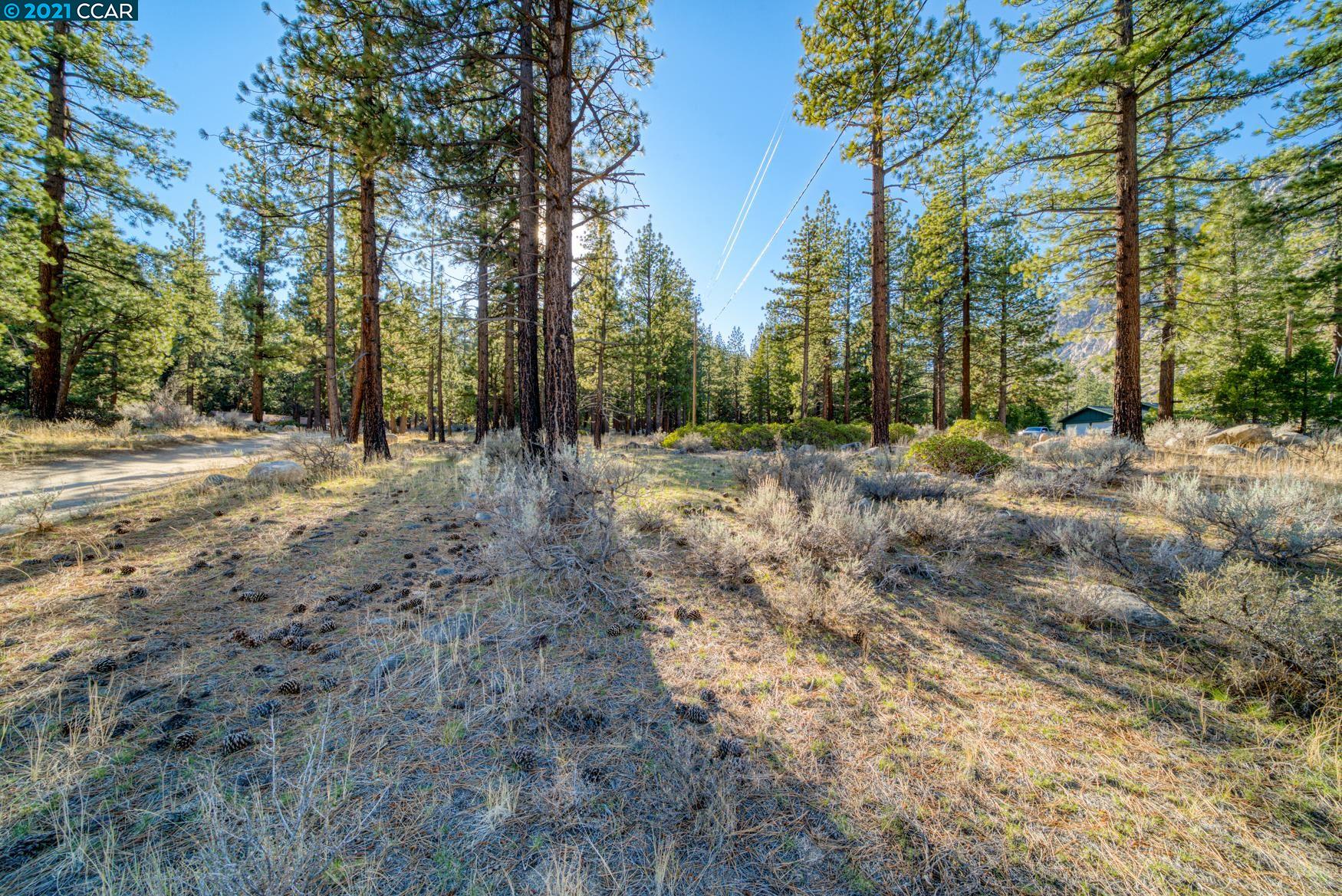000 West Fork Lane, MARKLEEVILLE, California 96120, ,Lots And Land,For Sale,West Fork Lane,40965589