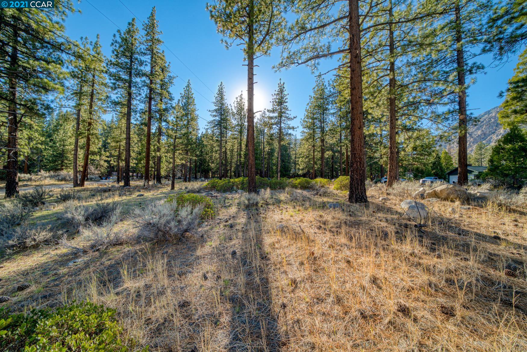 000 West Fork Lane, MARKLEEVILLE, California 96120, ,Lots And Land,For Sale,West Fork Lane,40965589