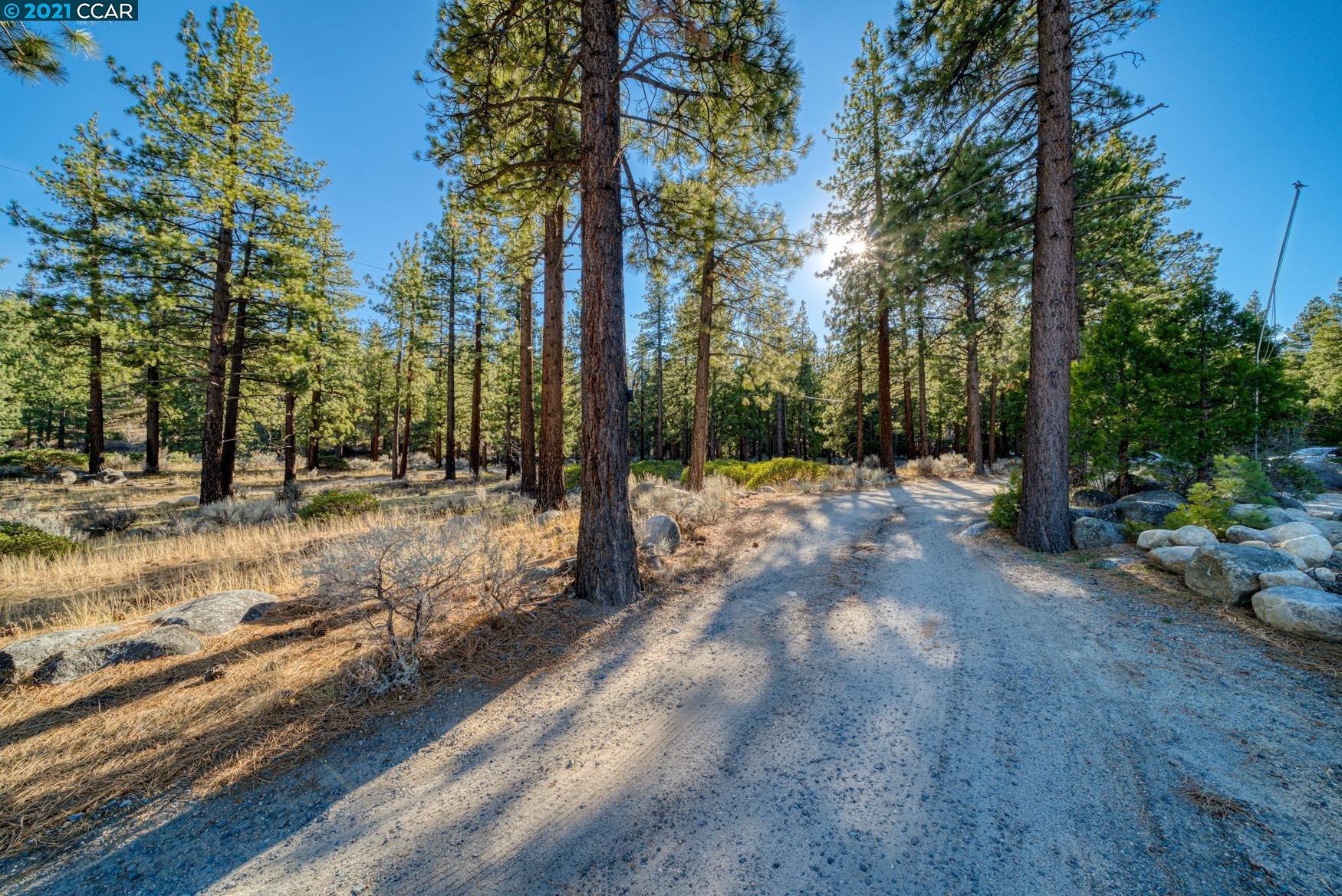 000 West Fork Lane, MARKLEEVILLE, California 96120, ,Lots And Land,For Sale,West Fork Lane,40965589