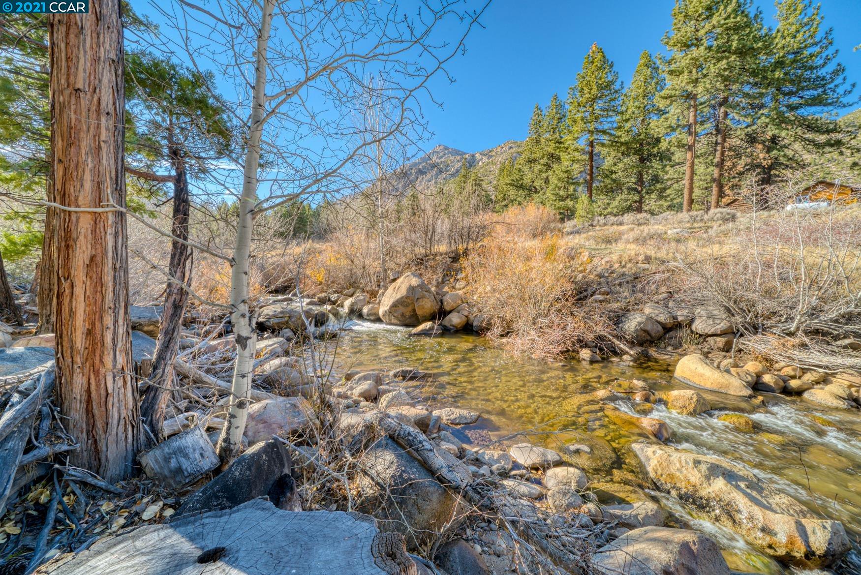 000 West Fork Lane, MARKLEEVILLE, California 96120, ,Lots And Land,For Sale,West Fork Lane,40965589