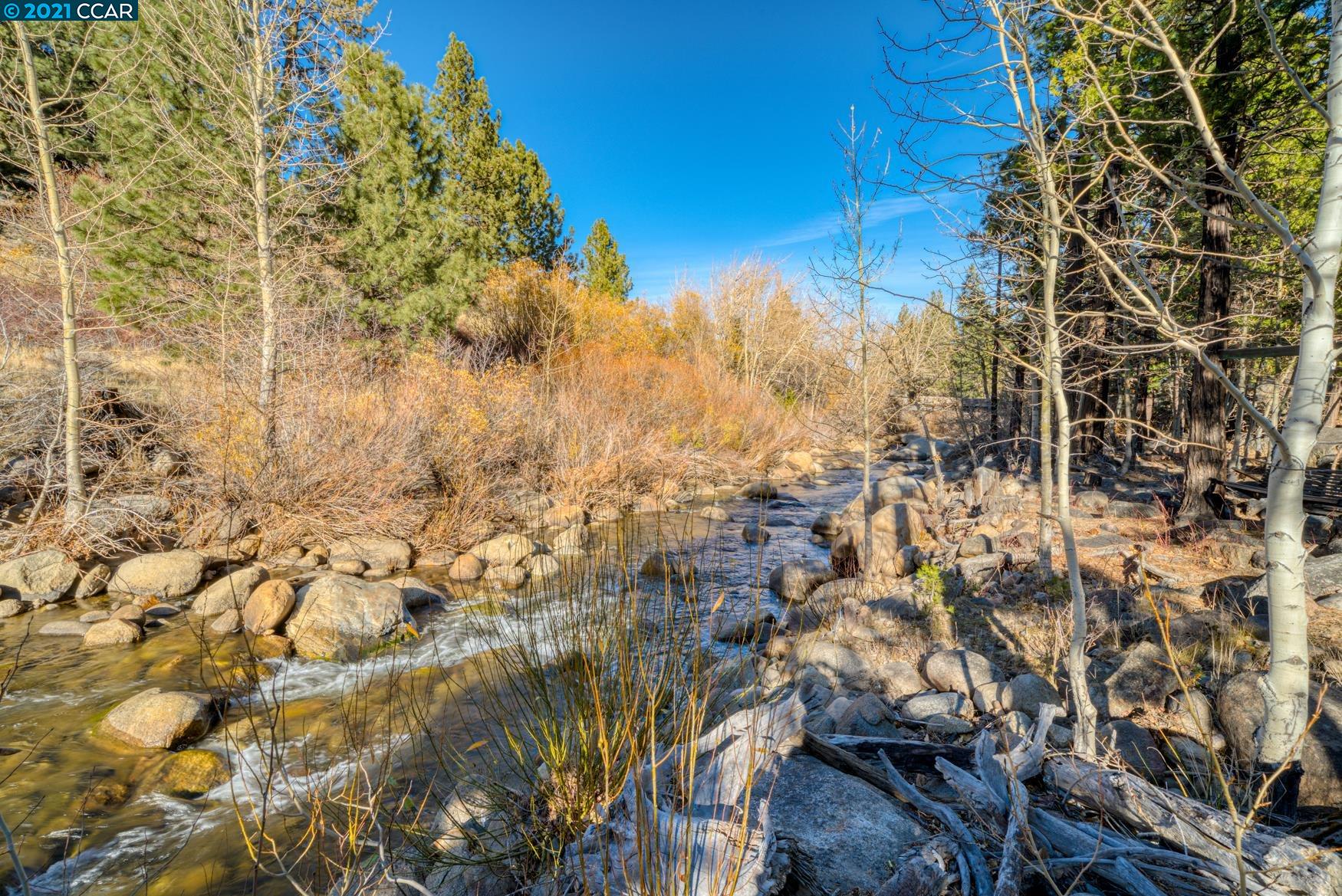 000 West Fork Lane, MARKLEEVILLE, California 96120, ,Lots And Land,For Sale,West Fork Lane,40965589