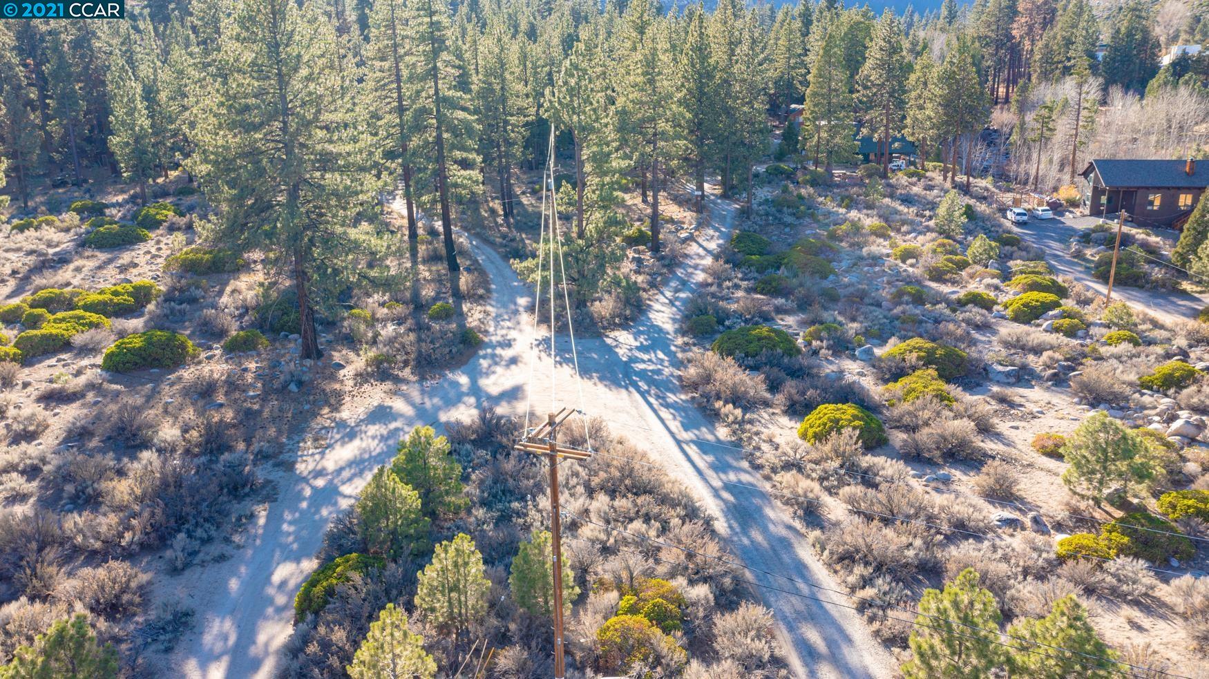 000 West Fork Lane, MARKLEEVILLE, California 96120, ,Lots And Land,For Sale,West Fork Lane,40965589