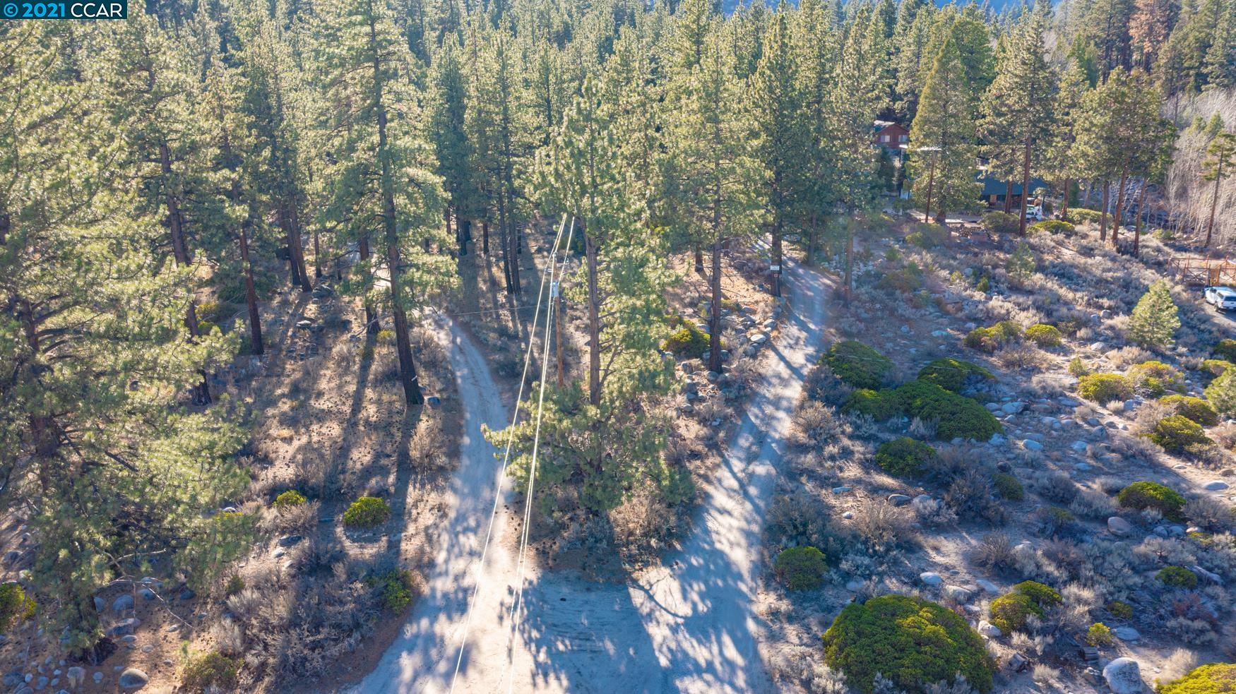 000 West Fork Lane, MARKLEEVILLE, California 96120, ,Lots And Land,For Sale,West Fork Lane,40965589