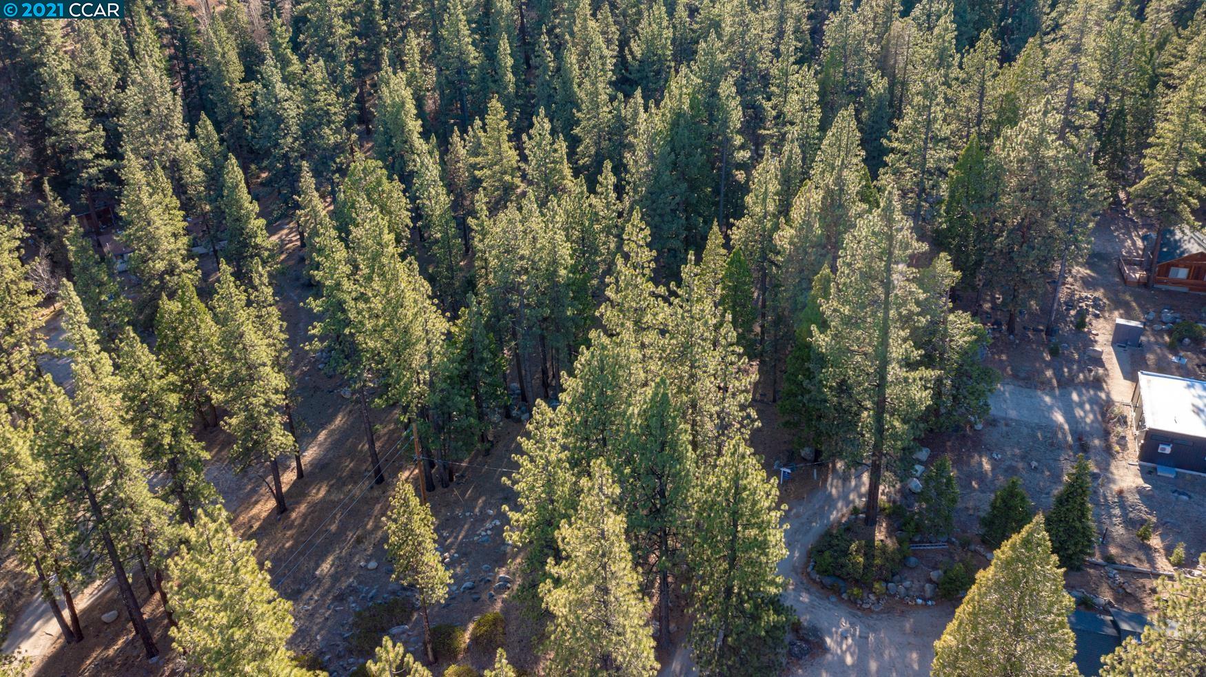 000 West Fork Lane, MARKLEEVILLE, California 96120, ,Lots And Land,For Sale,West Fork Lane,40965589