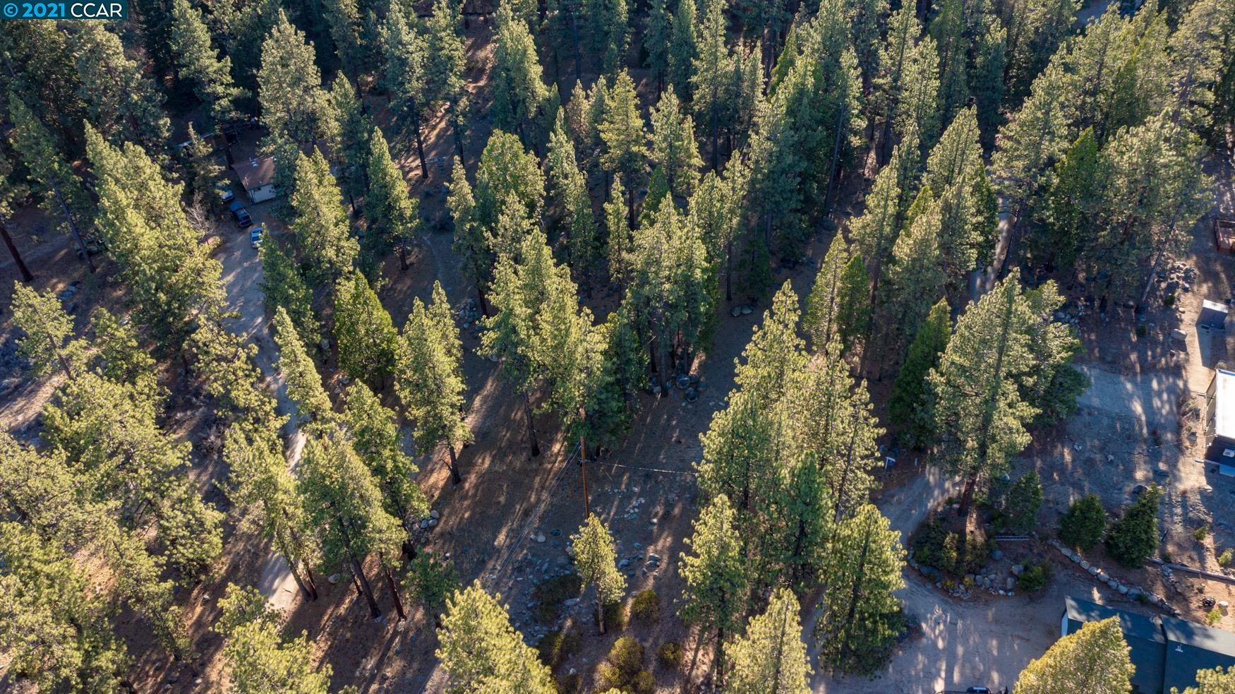 000 West Fork Lane, MARKLEEVILLE, California 96120, ,Lots And Land,For Sale,West Fork Lane,40965589