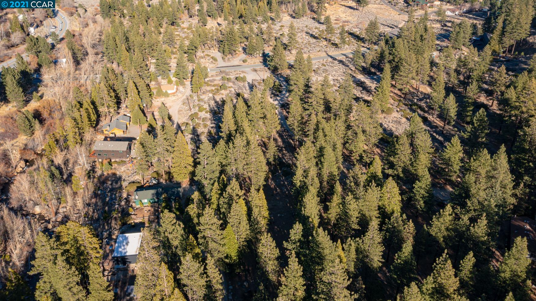 000 West Fork Lane, MARKLEEVILLE, California 96120, ,Lots And Land,For Sale,West Fork Lane,40965589