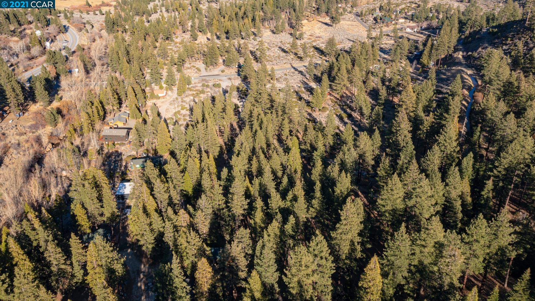 000 West Fork Lane, MARKLEEVILLE, California 96120, ,Lots And Land,For Sale,West Fork Lane,40965589