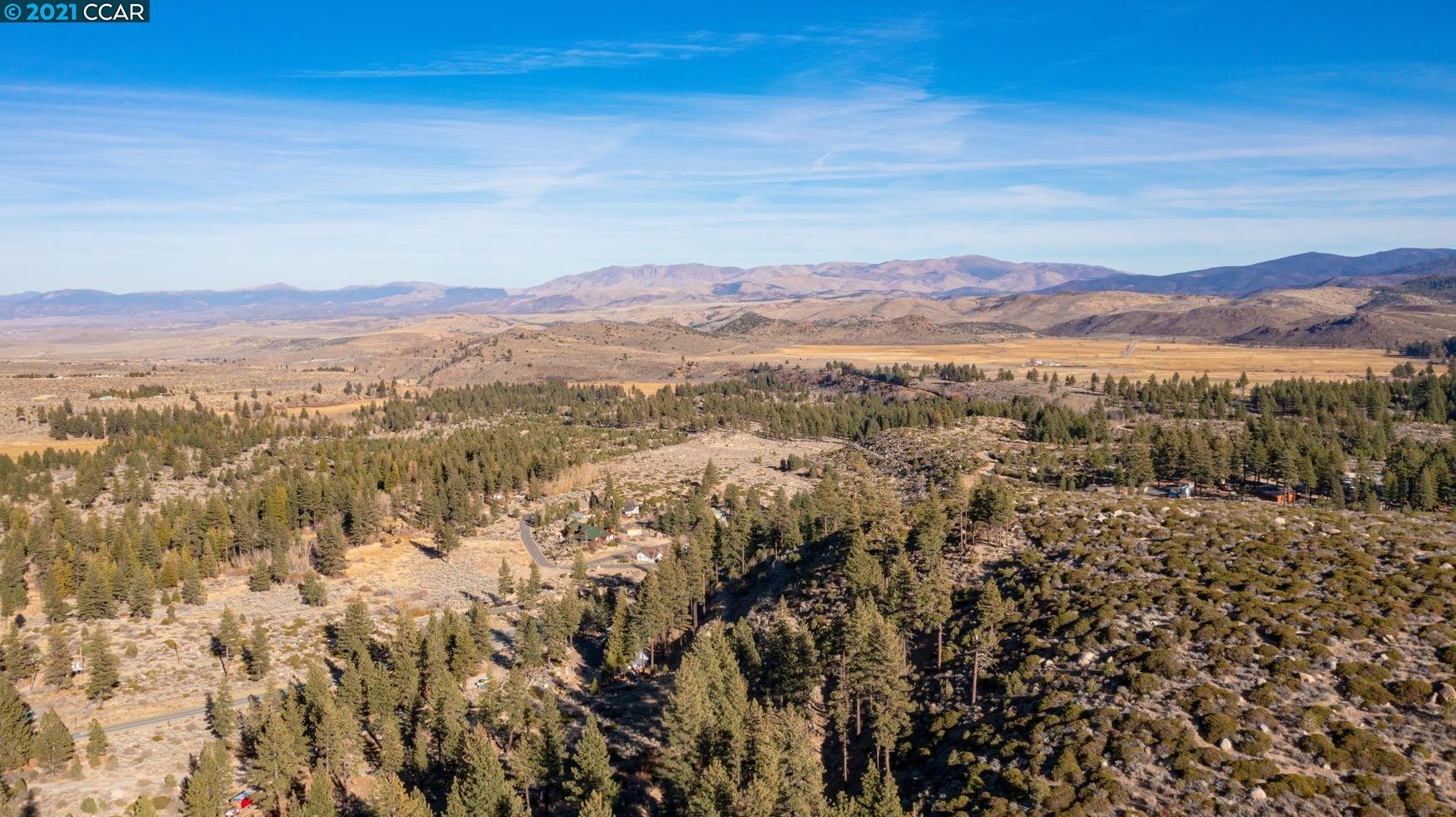 000 West Fork Lane, MARKLEEVILLE, California 96120, ,Lots And Land,For Sale,West Fork Lane,40965589