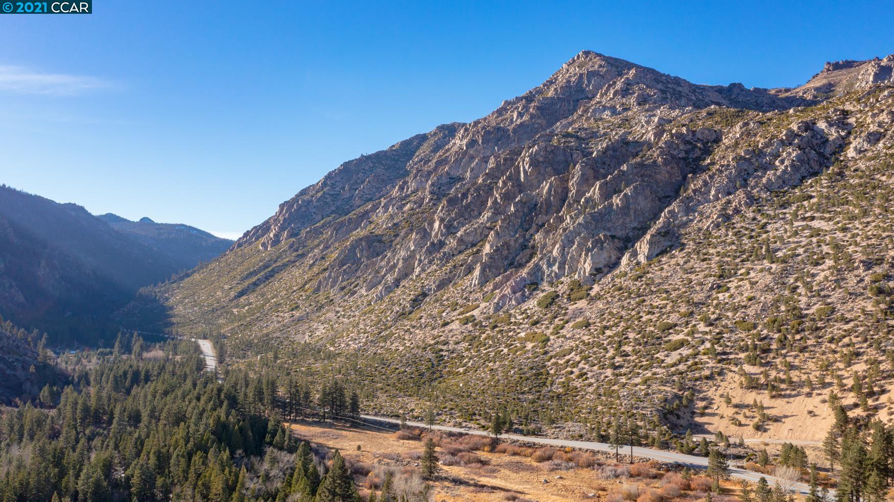 000 West Fork Lane, MARKLEEVILLE, California 96120, ,Lots And Land,For Sale,West Fork Lane,40965589