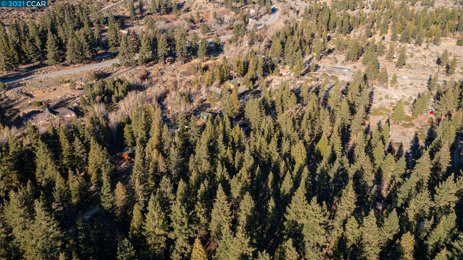 000 West Fork Lane, MARKLEEVILLE, California 96120, ,Lots And Land,For Sale,West Fork Lane,40965589