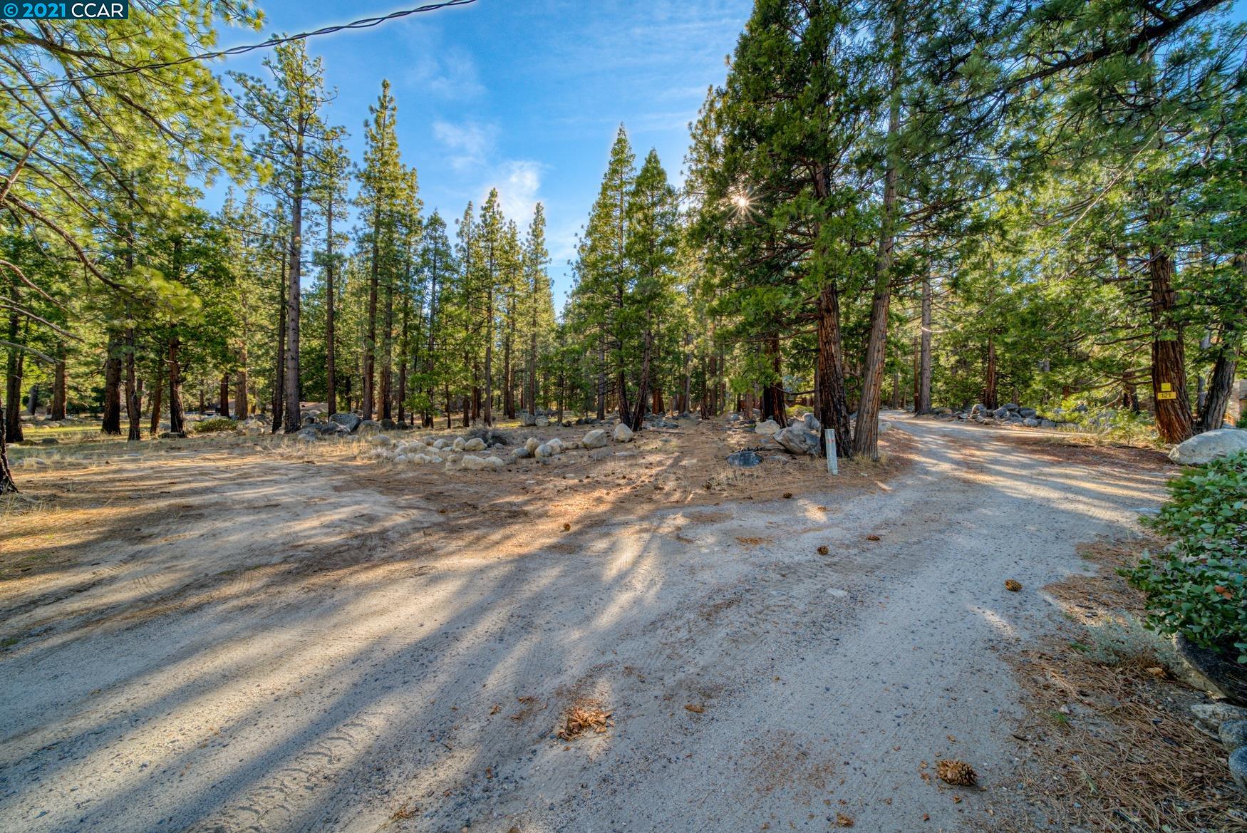 000 West Fork Lane, MARKLEEVILLE, California 96120, ,Lots And Land,For Sale,West Fork Lane,40965589