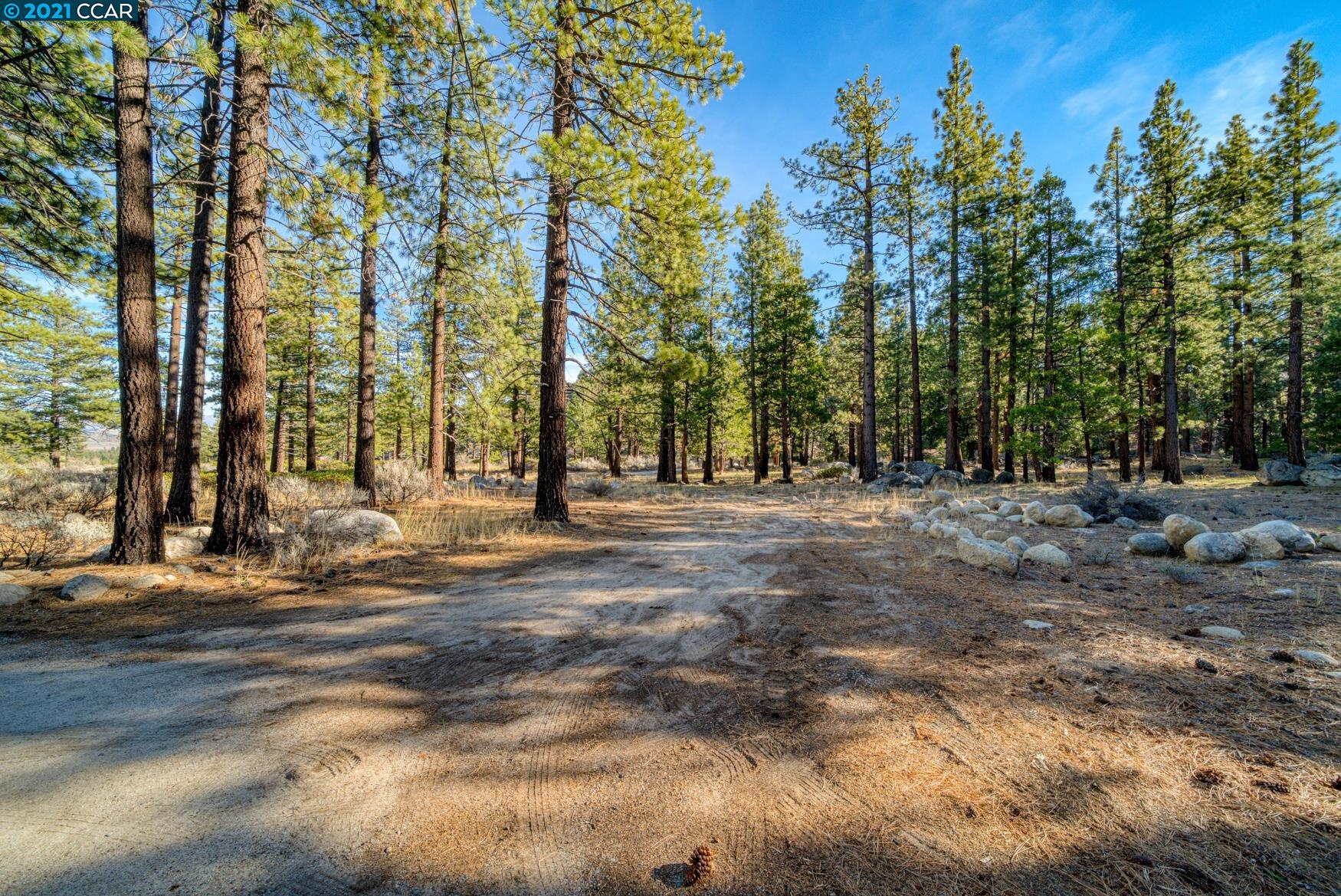 000 West Fork Lane, MARKLEEVILLE, California 96120, ,Lots And Land,For Sale,West Fork Lane,40965589