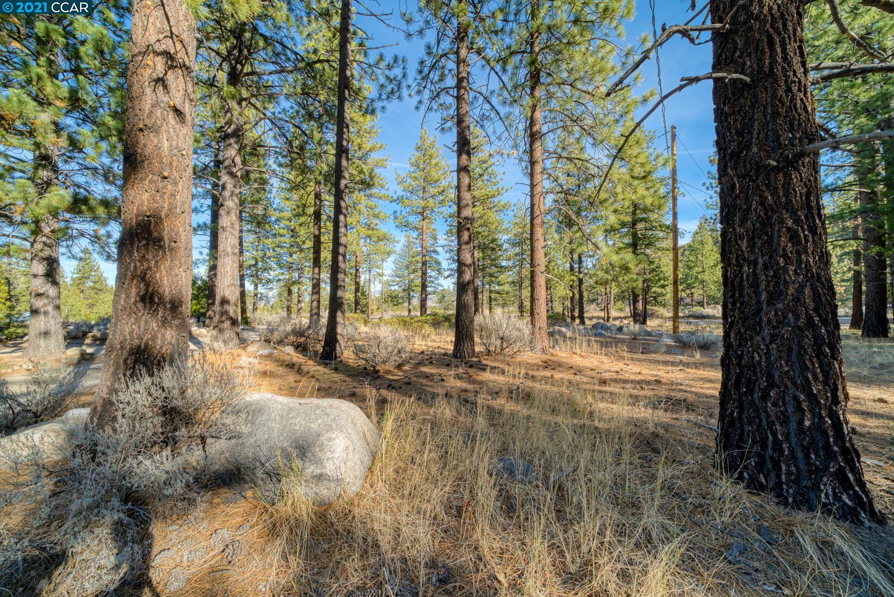 000 West Fork Lane, MARKLEEVILLE, California 96120, ,Lots And Land,For Sale,West Fork Lane,40965589