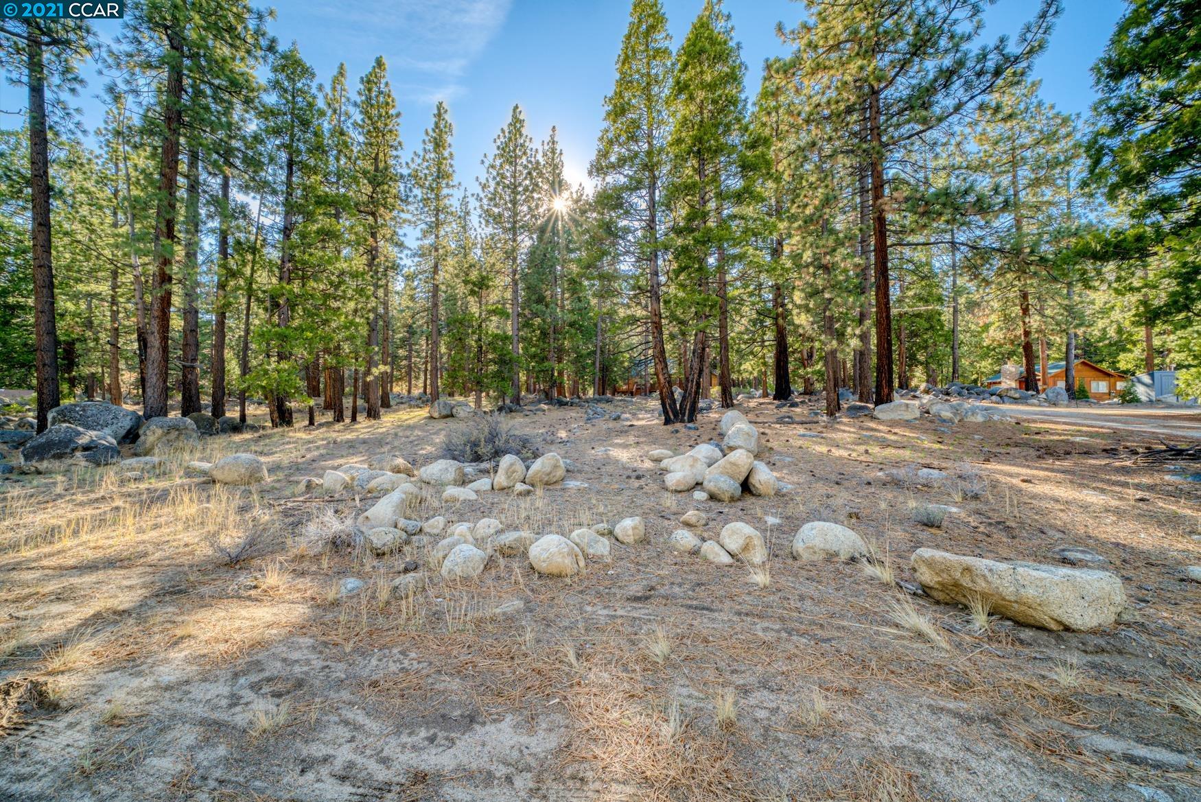 000 West Fork Lane, MARKLEEVILLE, California 96120, ,Lots And Land,For Sale,West Fork Lane,40965589