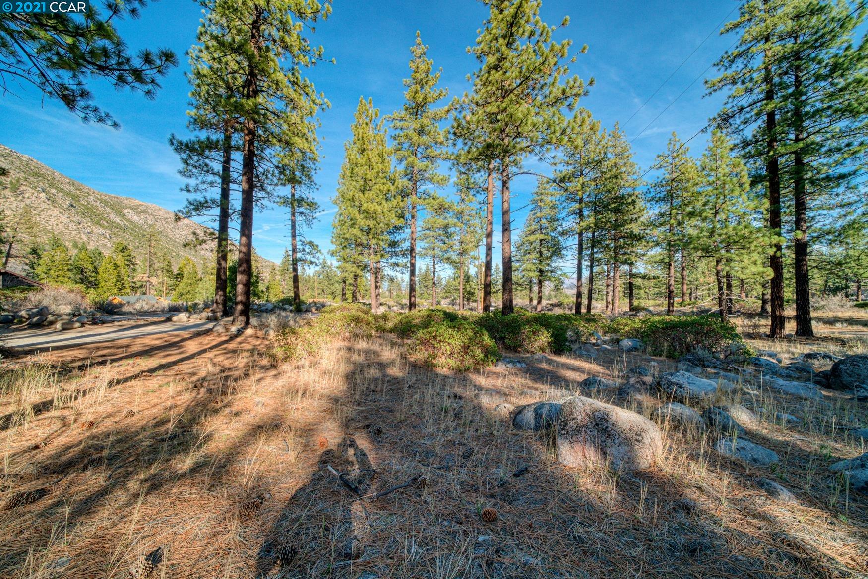 000 West Fork Lane, MARKLEEVILLE, California 96120, ,Lots And Land,For Sale,West Fork Lane,40965589
