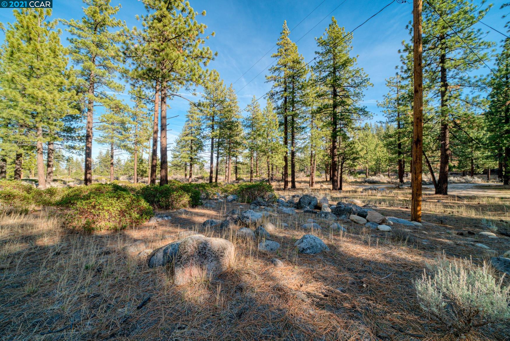 000 West Fork Lane, MARKLEEVILLE, California 96120, ,Lots And Land,For Sale,West Fork Lane,40965589
